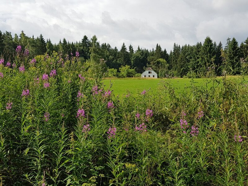 Stavební pozemek s domem u CHKO Šumava, Jelení Hora, Chroboly